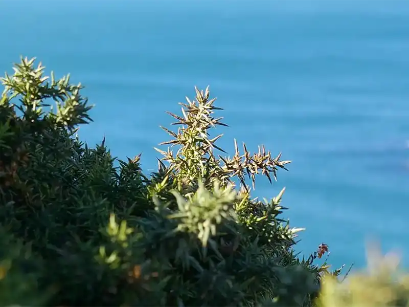 paysage-mer-bretagne