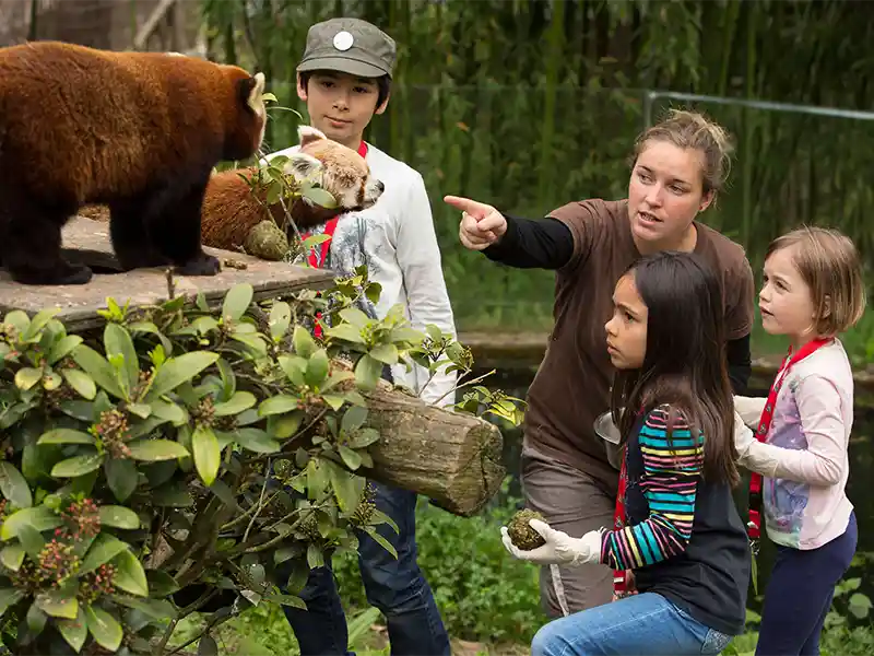 Zoo de Branféré