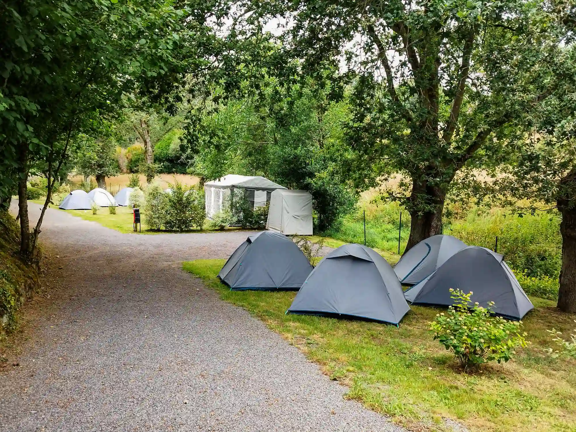 Emplacements colonies Flower Camping La Blanche Hermine