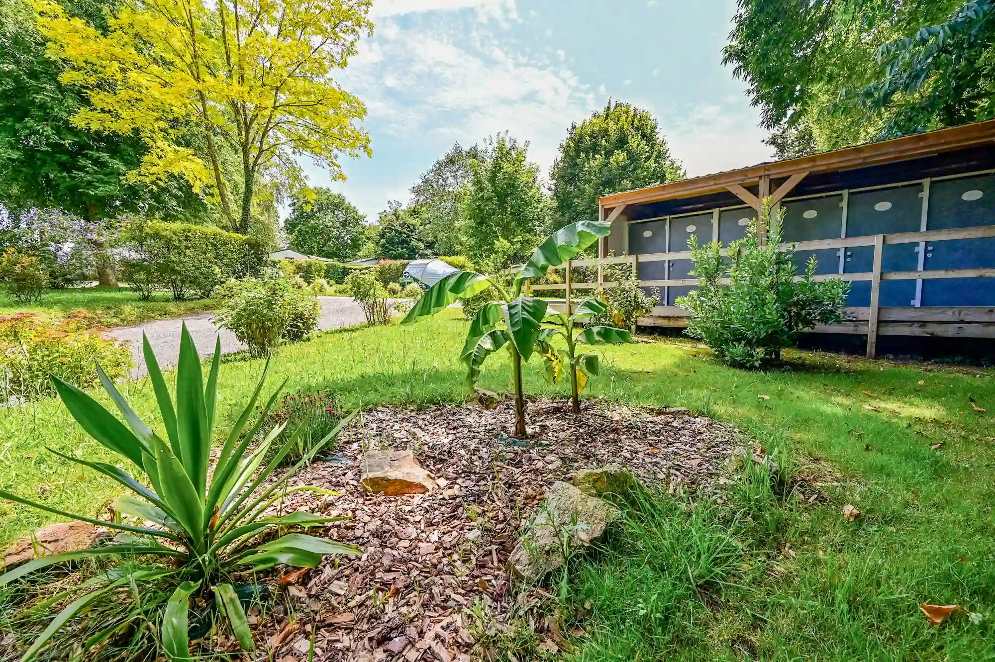 Vue emplacements ombragés