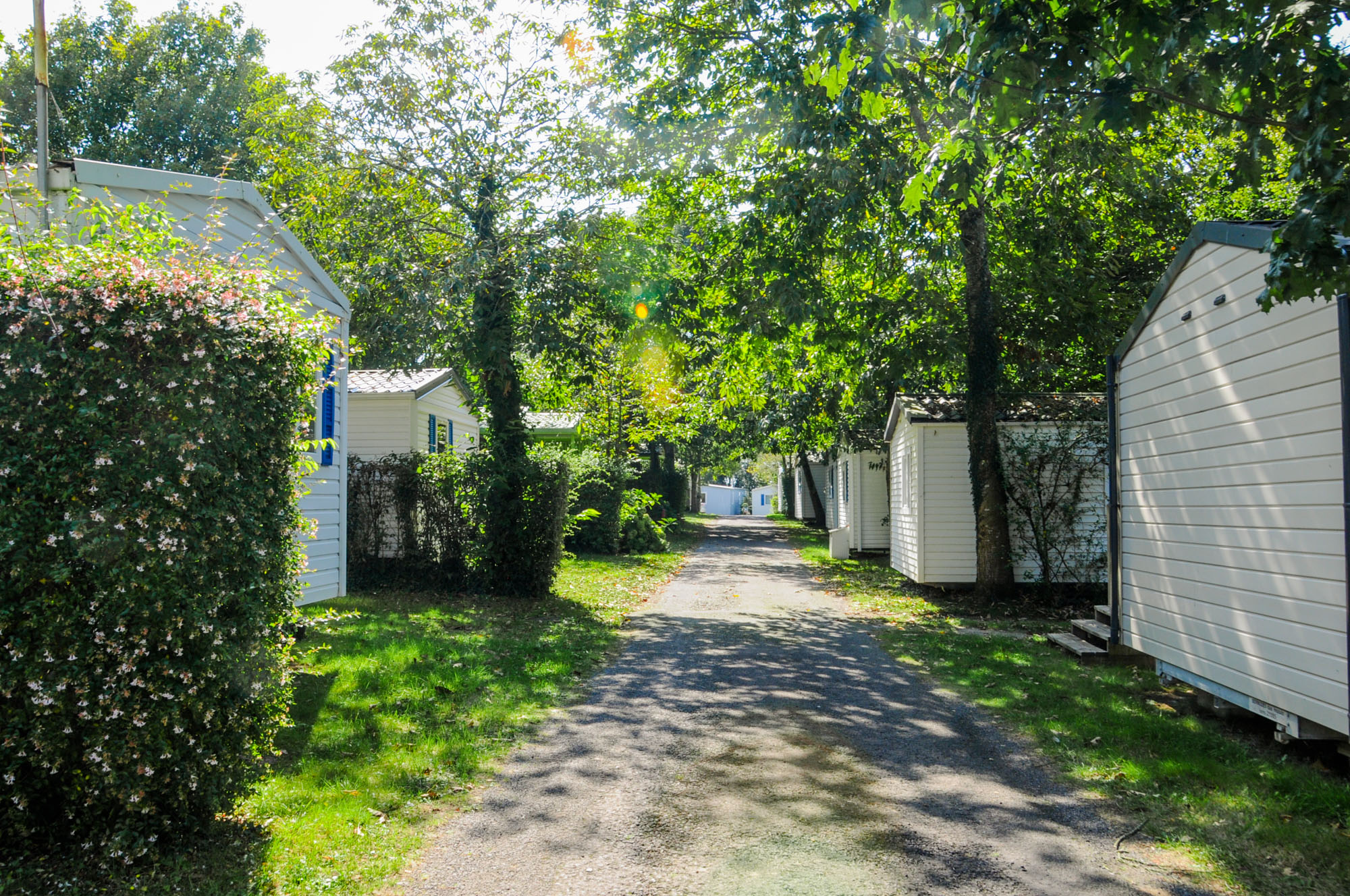 location mobil homes muzillac